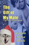 The Gift of My Mate synopsis, comments