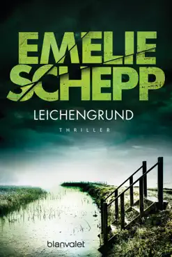 leichengrund book cover image