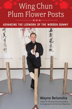 wing chun plum flower posts book cover image