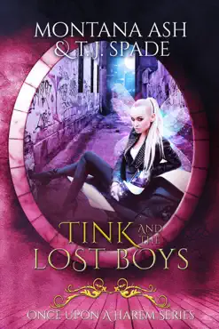 tink and the lost boys book cover image