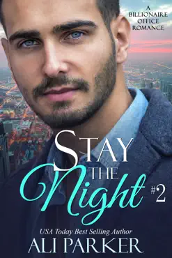 stay the night book 2 book cover image