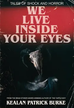 we live inside your eyes book cover image