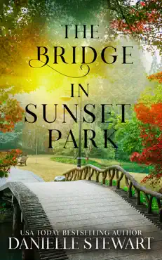 the bridge in sunset park book cover image