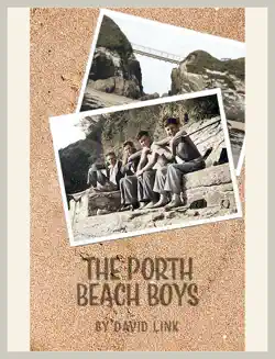 the porth beach boys book cover image