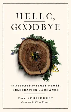 hello, goodbye book cover image