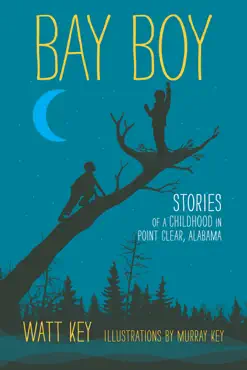 bay boy book cover image