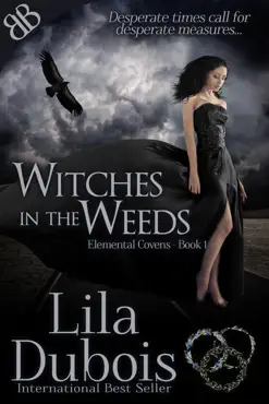 witches in the weeds book cover image