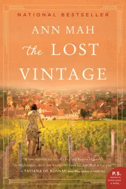 the lost vintage book cover image