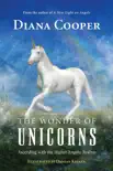 The Wonder of Unicorns synopsis, comments