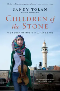 children of the stone book cover image