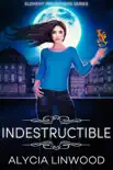 Indestructible synopsis, comments