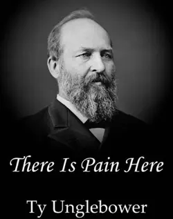 there is pain here book cover image