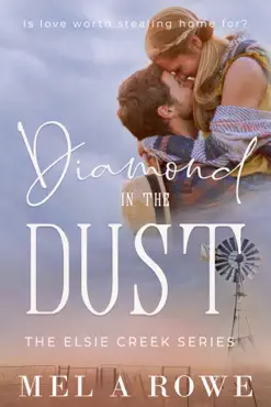 diamond in the dust book cover image