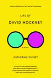Life of David Hockney synopsis, comments