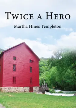 twice a hero book cover image