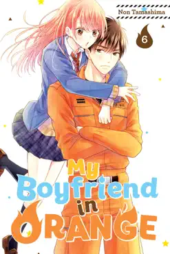 my boyfriend in orange volume 6 book cover image