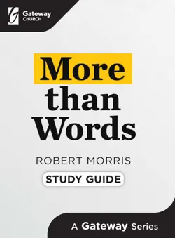 more than words study guide book cover image