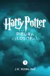 Harry Potter y la piedra filosofal (Enhanced Edition) e-book