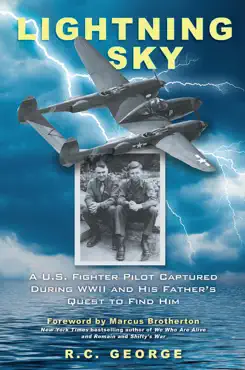 lightning sky book cover image