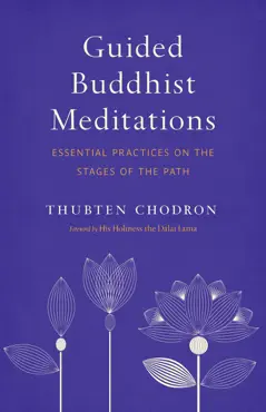 guided buddhist meditations book cover image