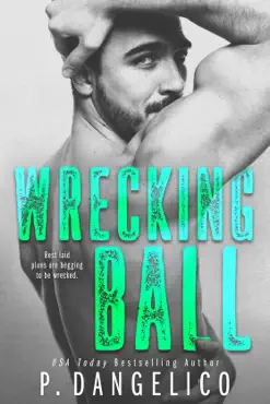 wrecking ball book cover image