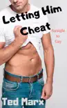 Letting Him Cheat: Straight to Gay sinopsis y comentarios