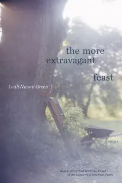 the more extravagant feast book cover image