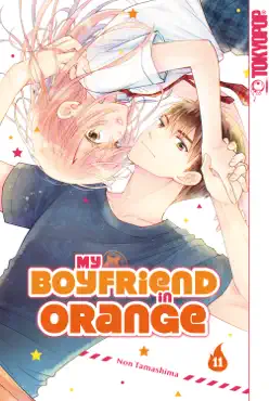 my boyfriend in orange, band 11 book cover image