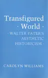 Transfigured World synopsis, comments