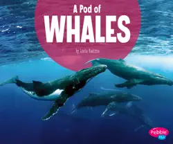 a pod of whales book cover image
