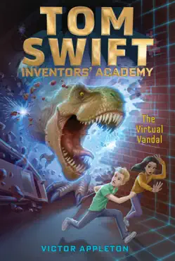the virtual vandal book cover image