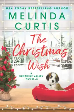 the christmas wish book cover image