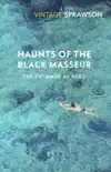 Haunts of the Black Masseur sinopsis y comentarios
