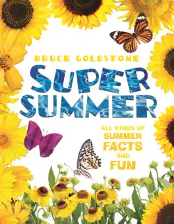 super summer book cover image