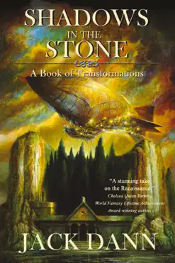 shadows in the stone book cover image