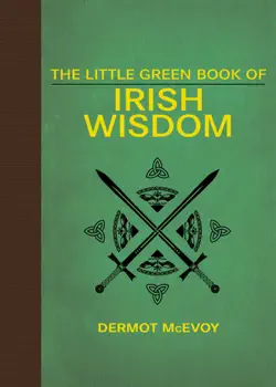 the little green book of irish wisdom book cover image