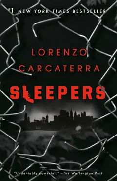 sleepers book cover image