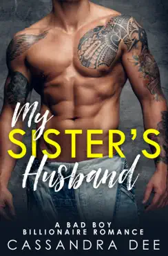 my sister's husband book cover image