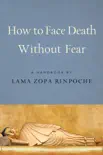 How to Face Death without Fear synopsis, comments