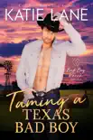 Taming a Texas Bad Boy synopsis, comments