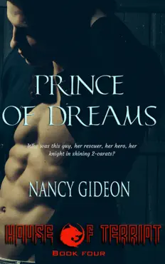 prince of dreams book cover image