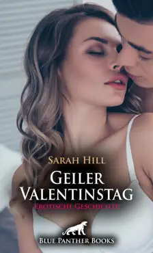 geiler valentinstag erotische geschichte book cover image