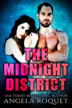the midnight district book cover image