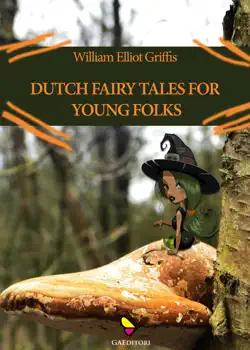 dutch fairy tales for young folks book cover image