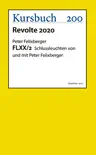 FLXX 2 Schlussleuchten von und mit Peter Felixberger synopsis, comments