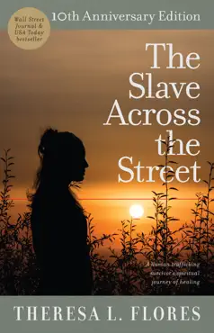 the slave across the street book cover image