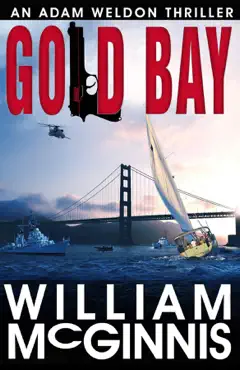 gold bay book cover image