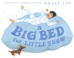 a big bed for little snow book cover image