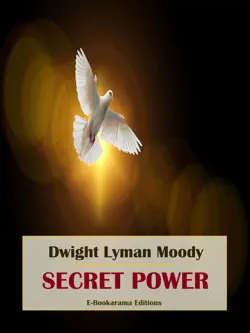 secret power book cover image
