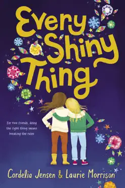 every shiny thing book cover image